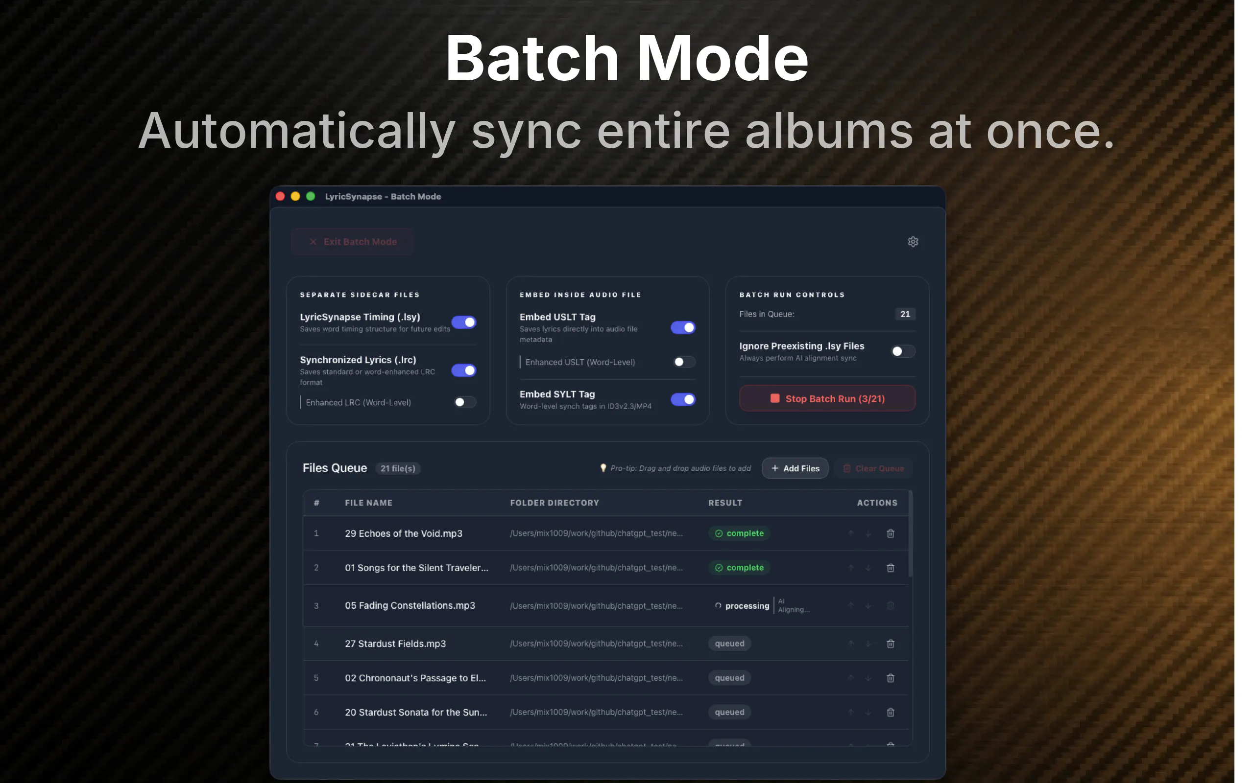 LyricSynapse gallery image