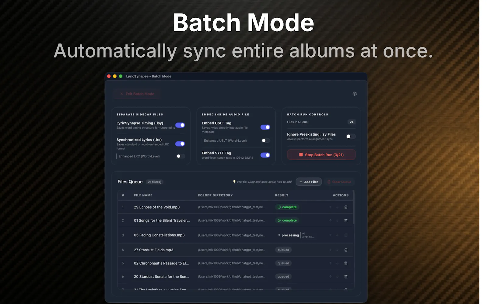 LyricSynapse screenshot 5