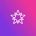 Polygon Video