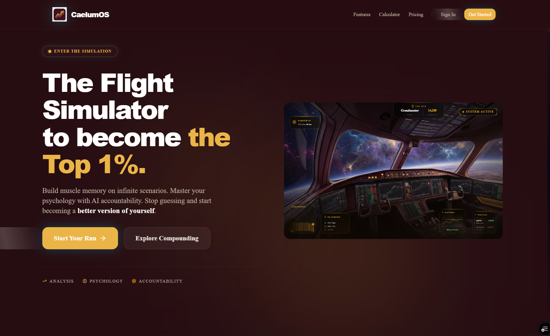 CaelumOS gallery image