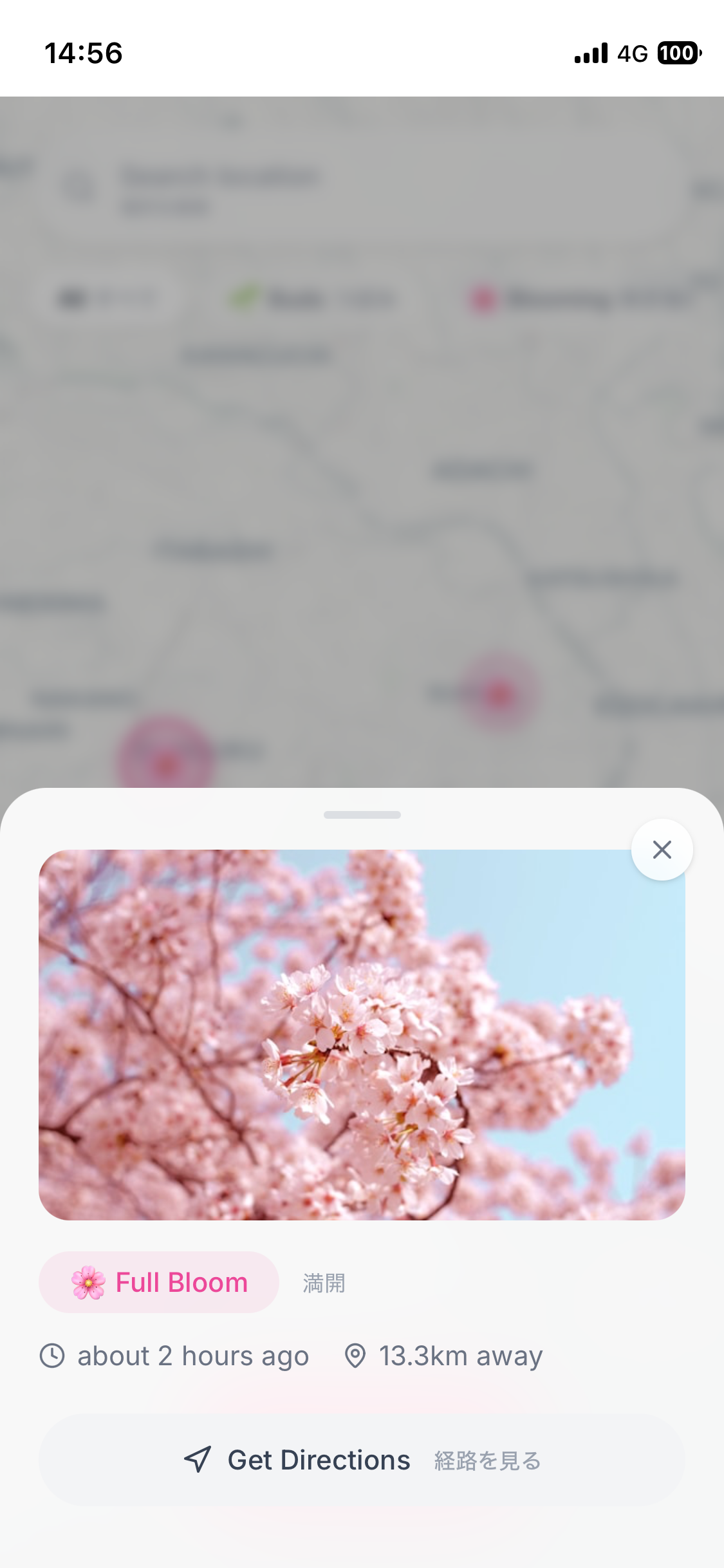 Sakura Finder — Cherry Blossom Map gallery image