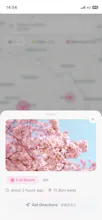 Sakura Finder β Cherry Blossom Map gallery image