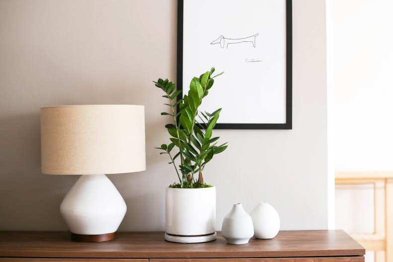 Leon & George gallery image