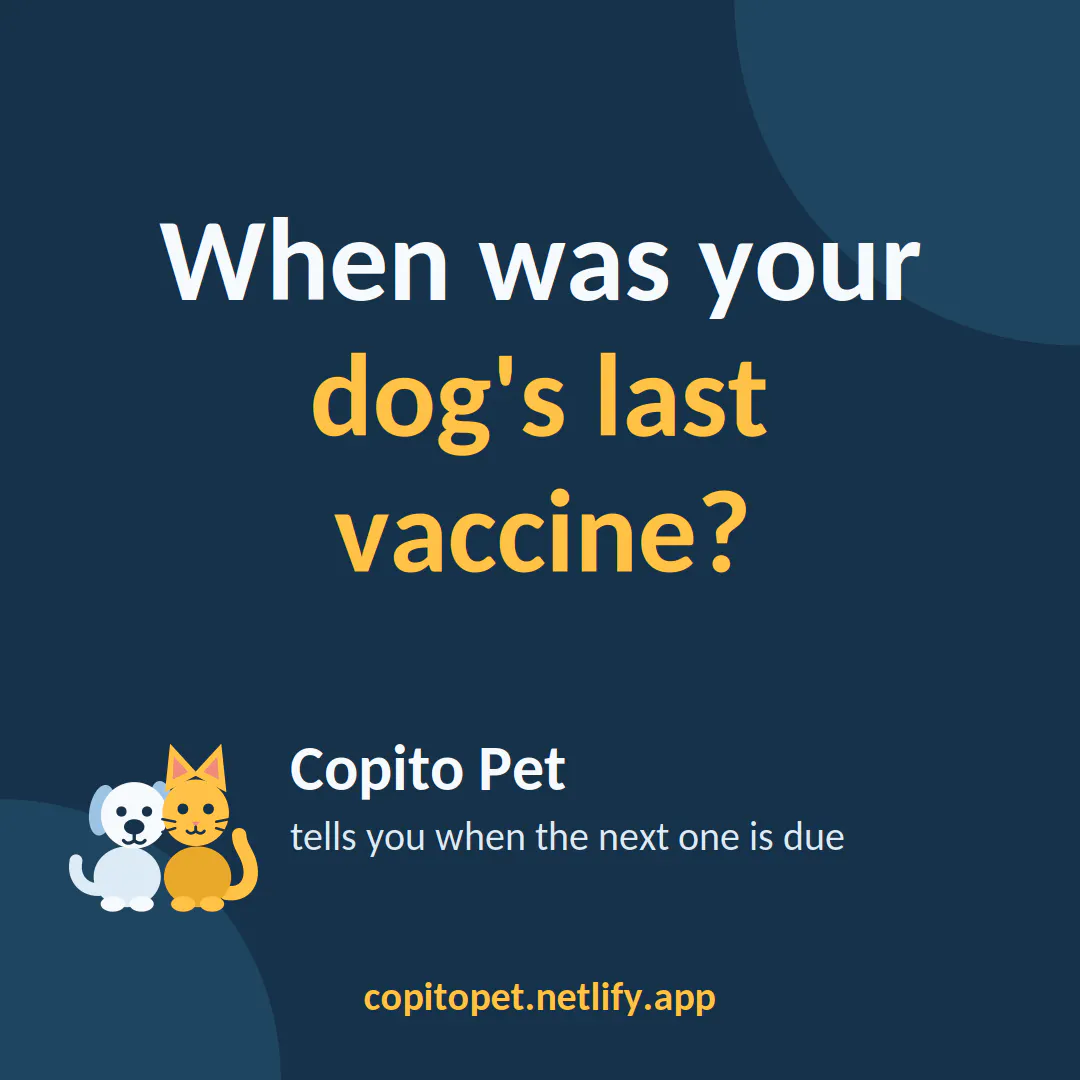 Copito Pet gallery image