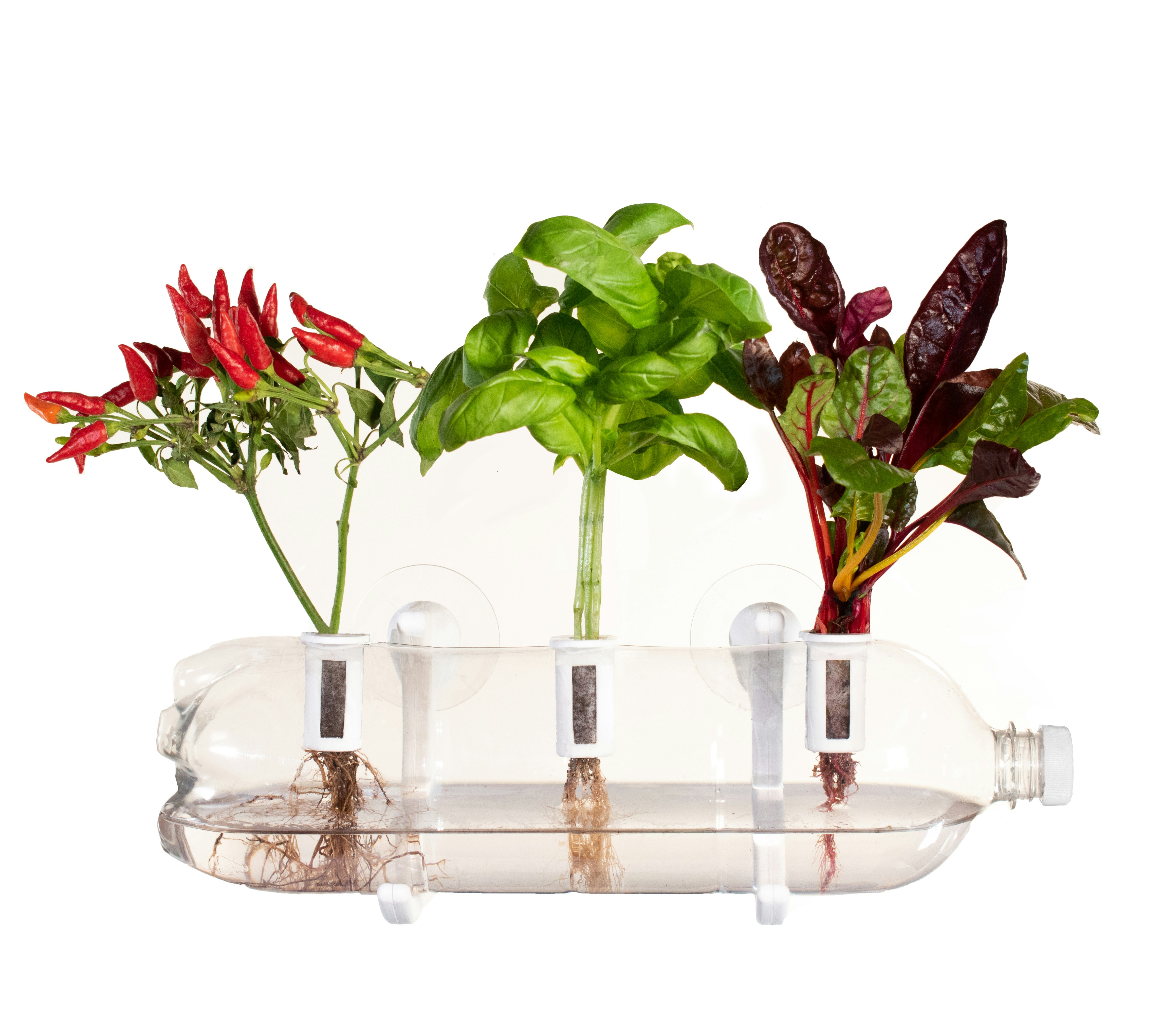 Bottle Farm gallery image