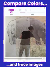 Mural Maker by Da Vinci Eye gallery image