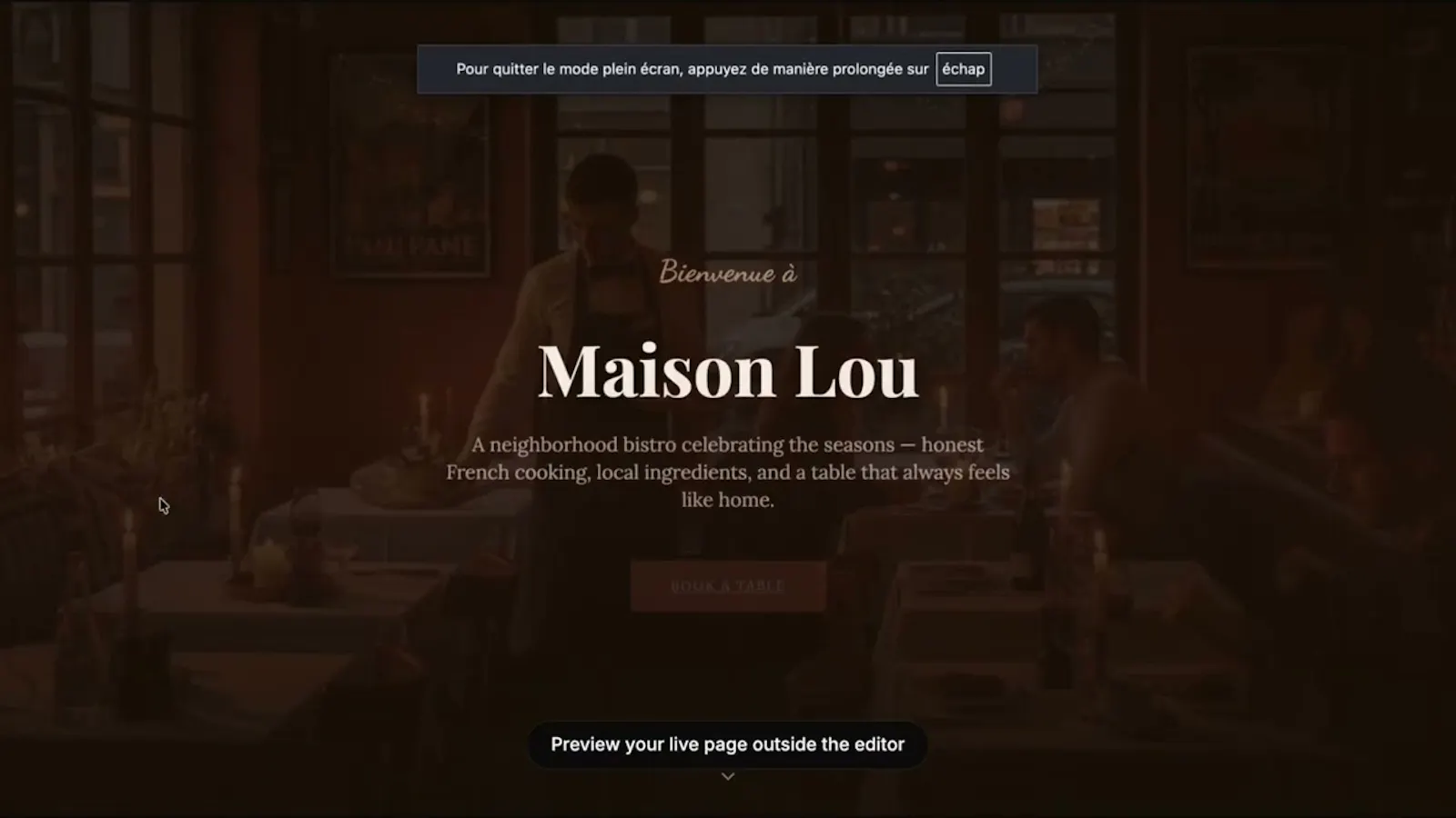 Pagora AI - Wordpress plugin screenshot 1 (video preview)