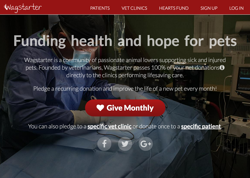 Wagstarter.org gallery image