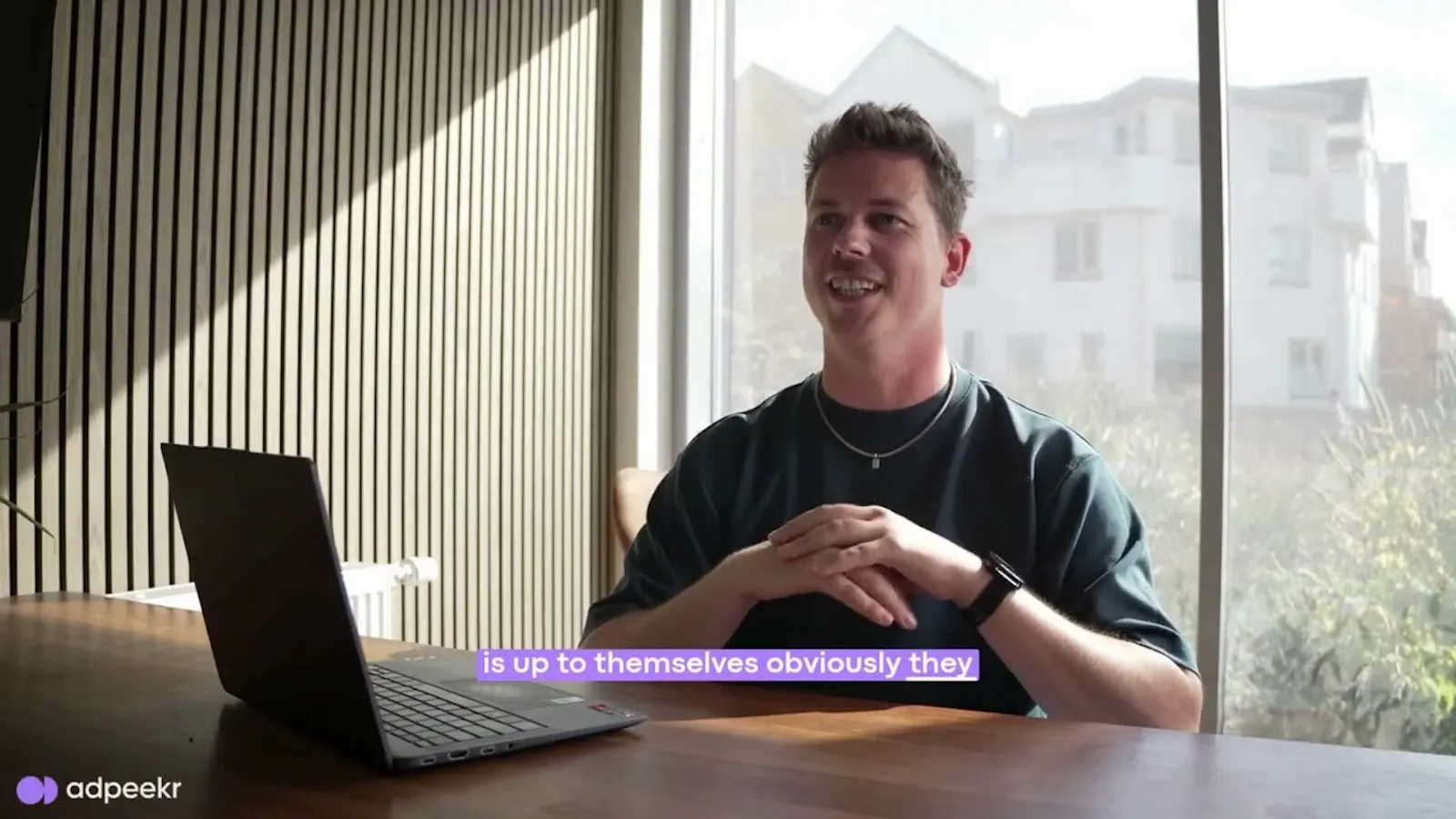 AdPeekr - API screenshot 1 (video preview)