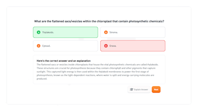 Hootly gallery image