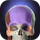 Anatomyka