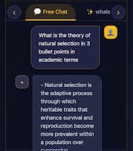 Alotaibi Ai gallery image