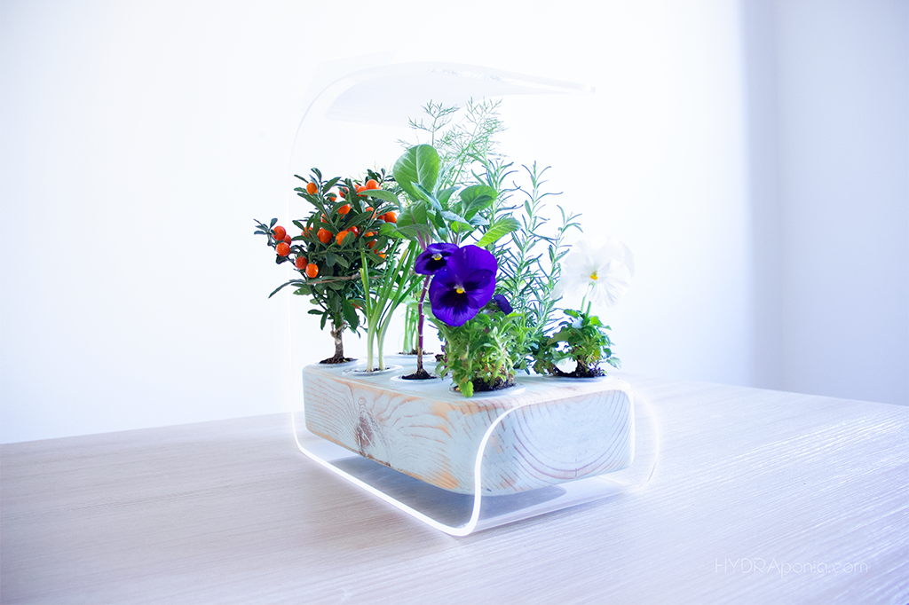 Hydraponia gallery image