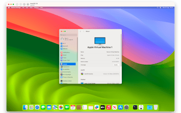 Cheetah gallery image