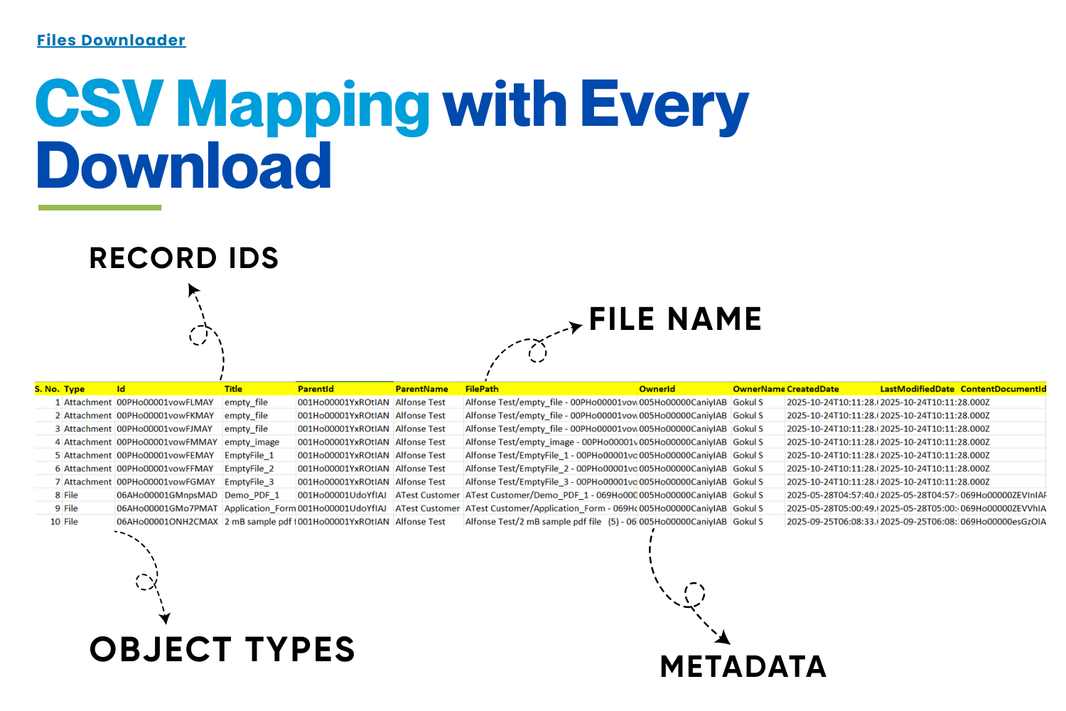 File Downloader gallery image