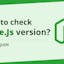 How to Check Node.js Version?