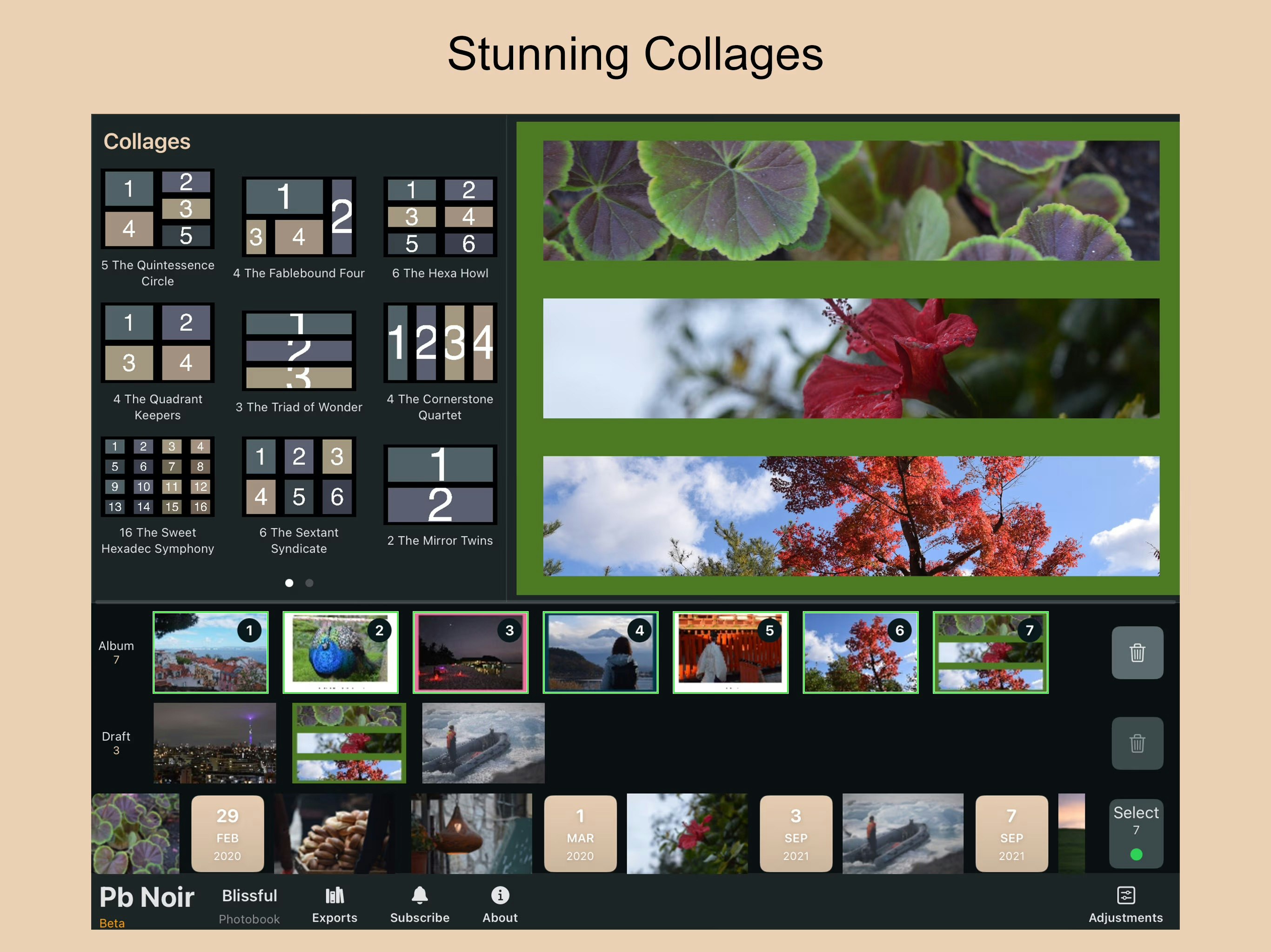 Photo Book Noir - Screenshot 4 showing product features and functionality