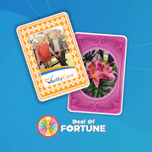 Deal of Fortune gallery image