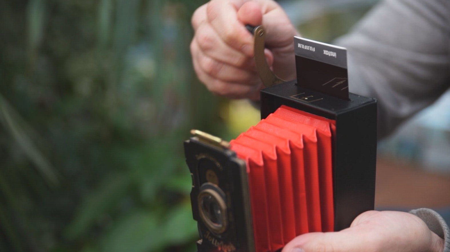 Jollylook gallery image