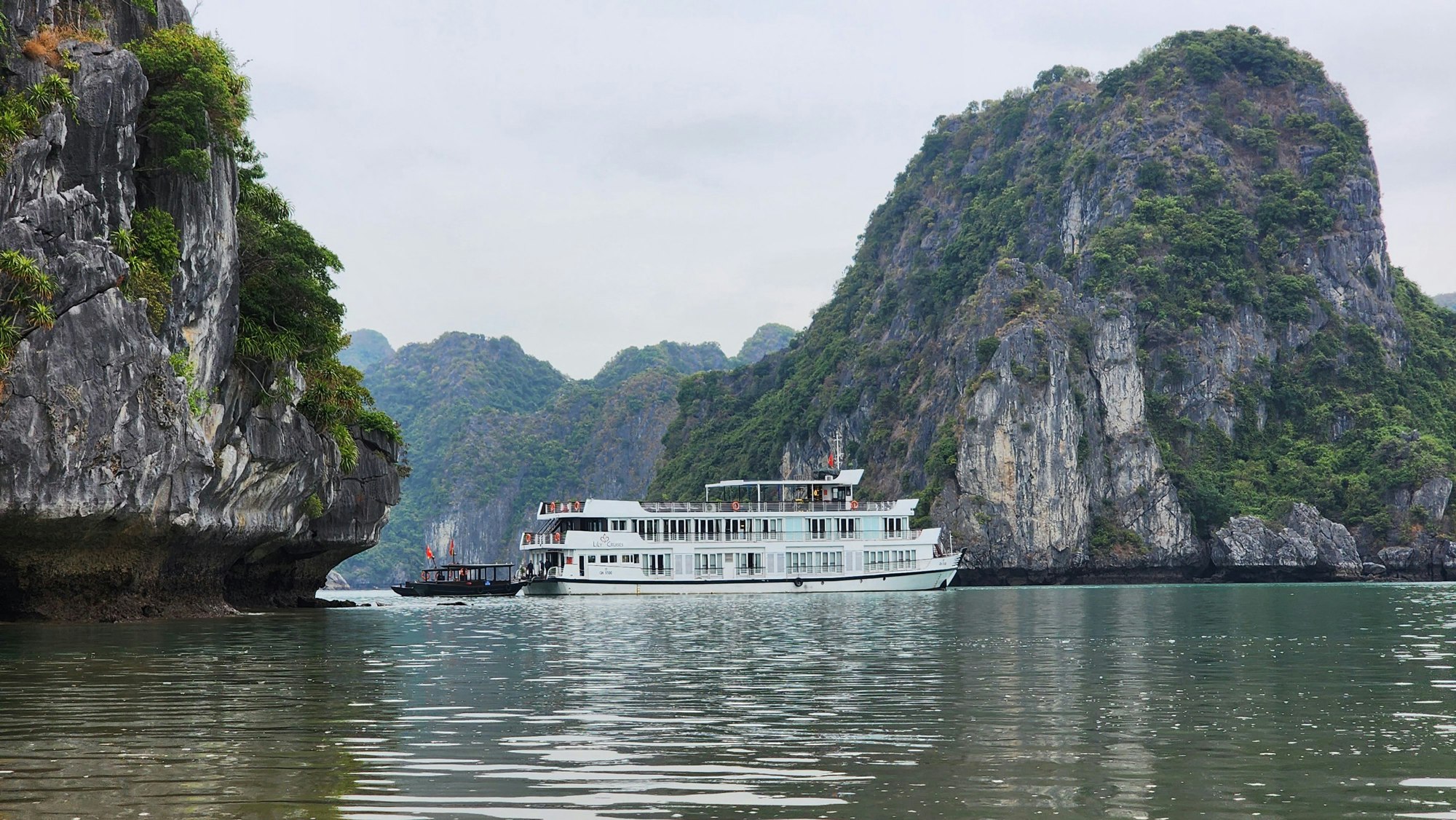 Lily Cruises in Bai Tu Long Bay