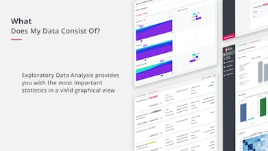 Neuton.AI gallery image