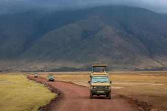 Africantrust Safari gallery image