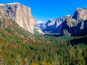 VOCA.CC gallery image