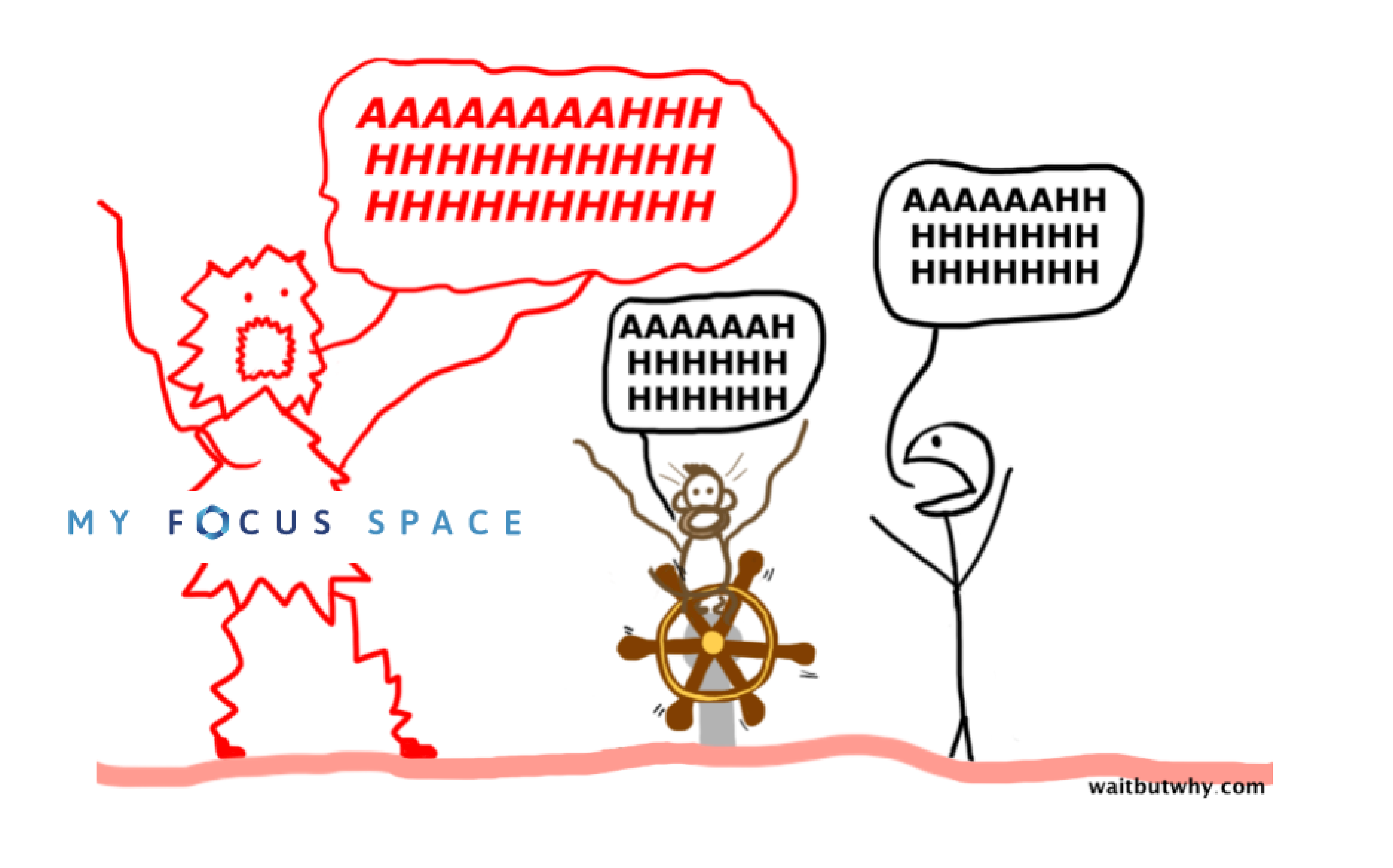 MyFocusSpace gallery image