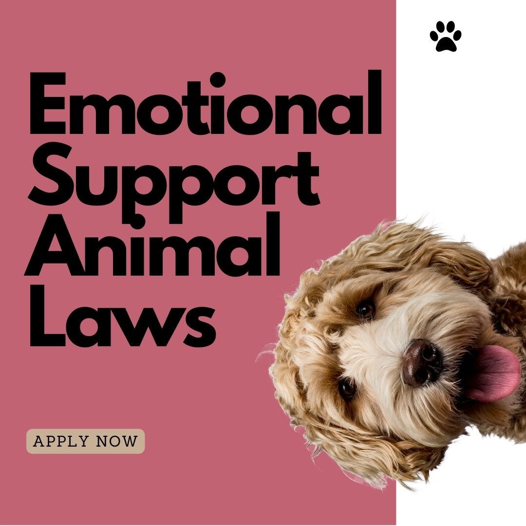 Emotional Support Animal Laws media 1