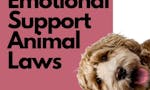 Emotional Support Animal Laws image