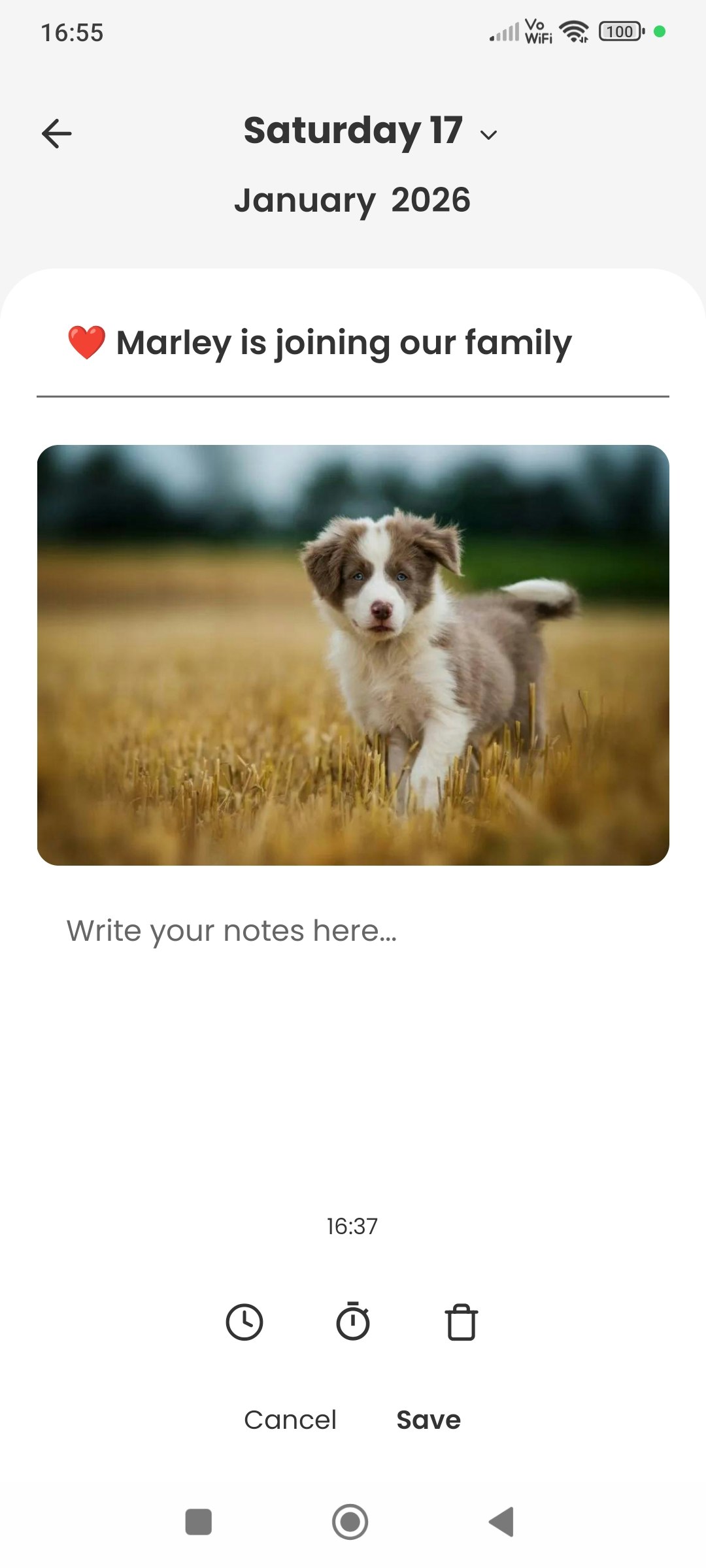 dairoo gallery image