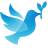 Grace logo