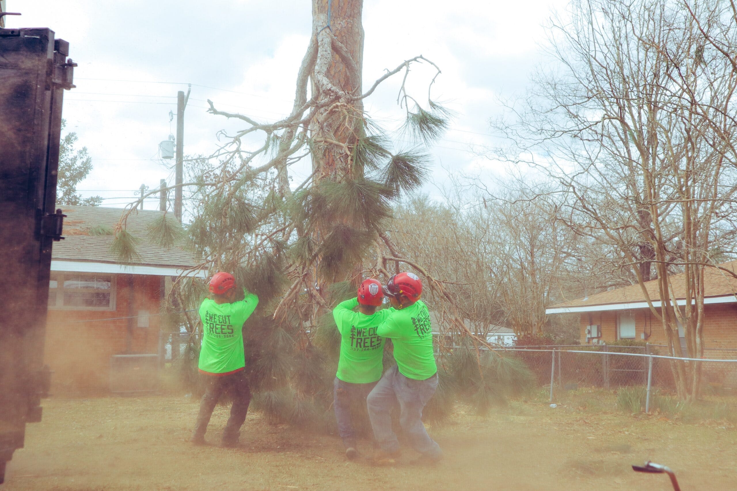 A Cajun Tree Cutters media 1