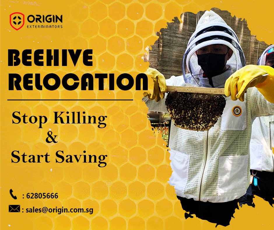 Pest Control Services Singapore gallery image