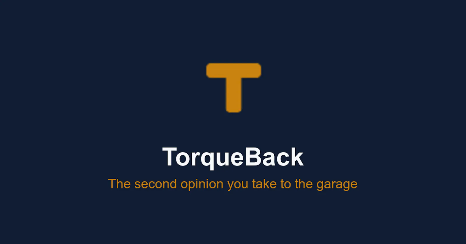 TorqueBack screenshot 1