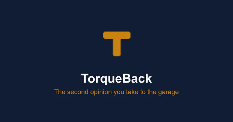 TorqueBack screenshot 1