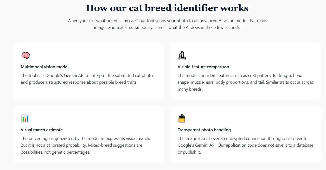 WhatIsMyCatBreed.com gallery image