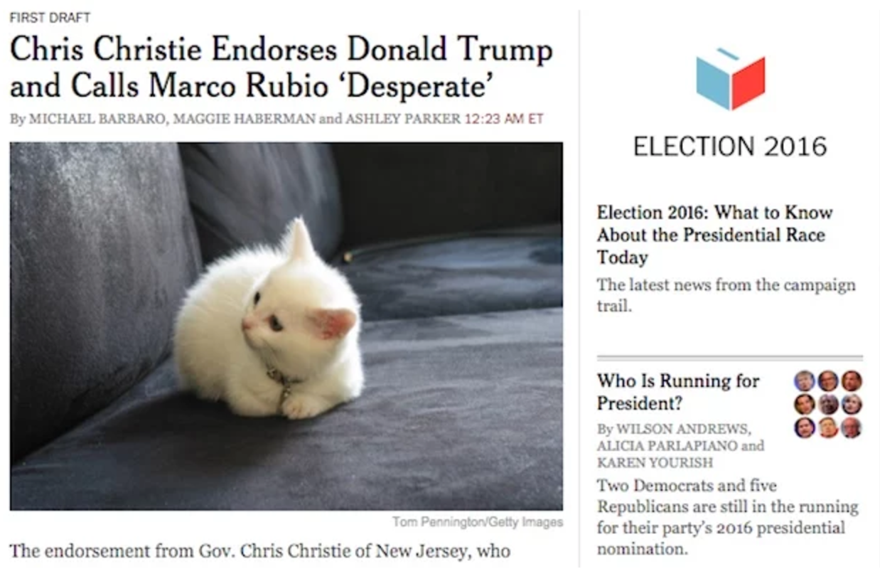Make America Kittens Again Image