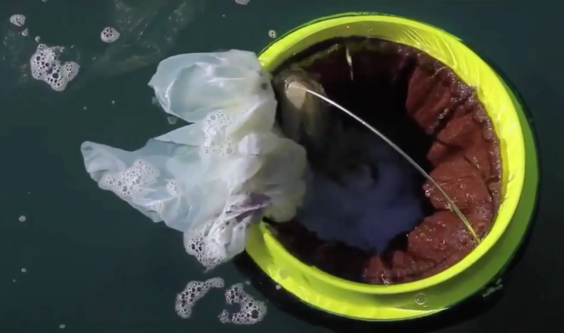 Seabin (Indiegogo)
