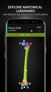 Anatomyka gallery image