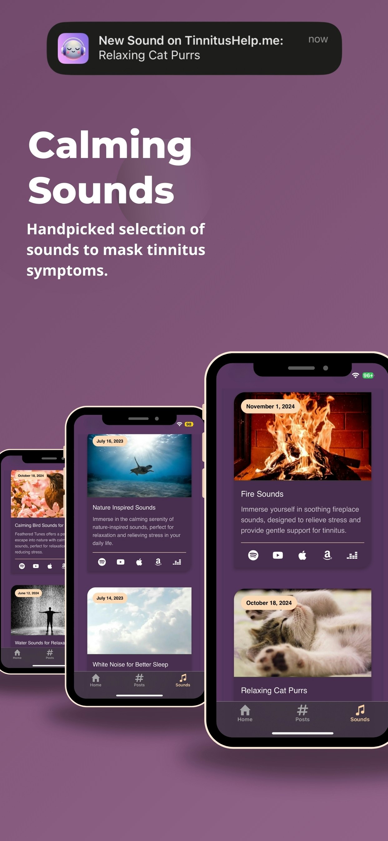 Tinnitus yardım uygulaması medya 3
