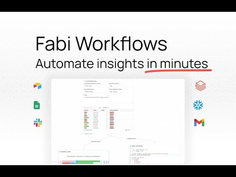 Fabi.ai Workflows gallery image