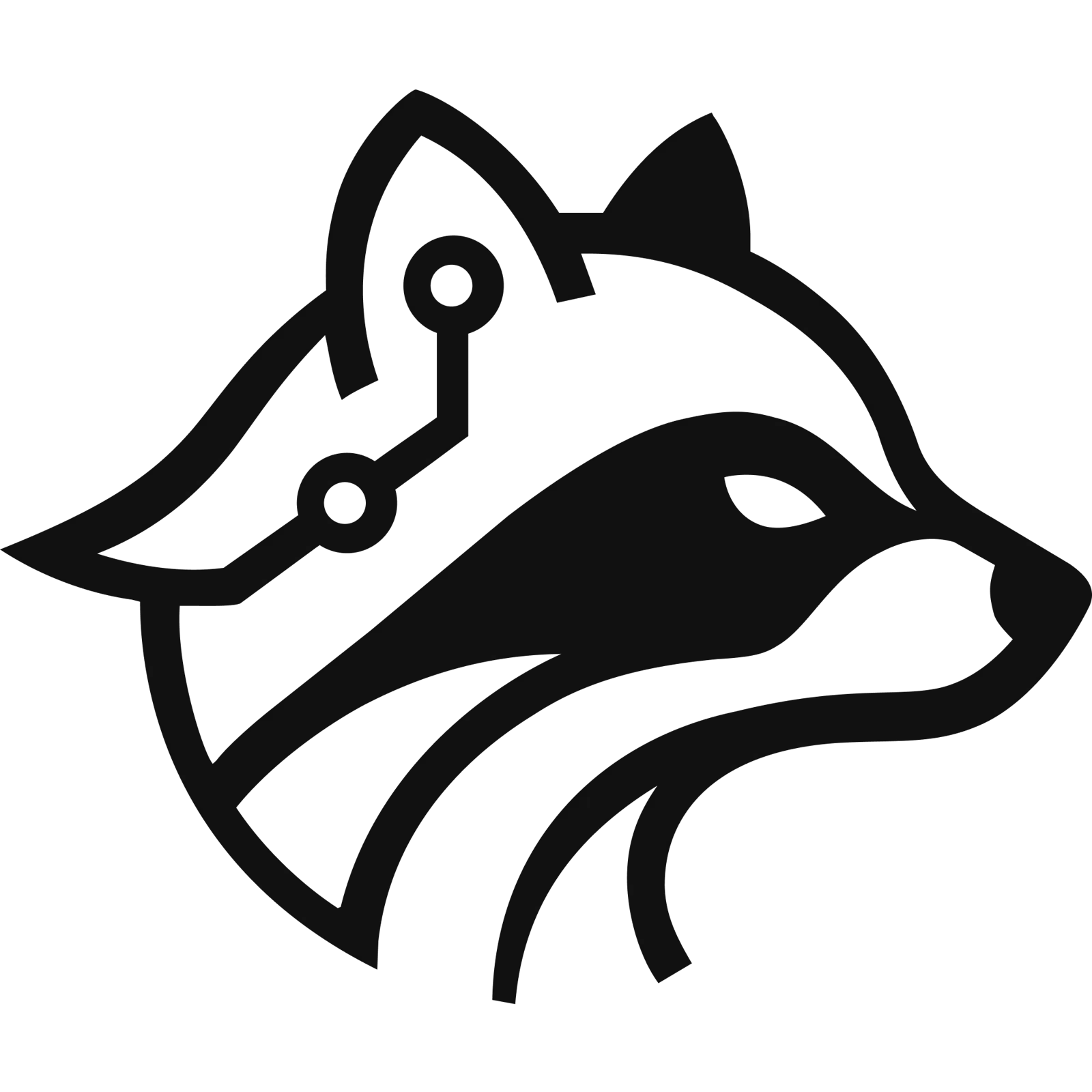IP Raccoon: Instant IP Lookups screenshot 1