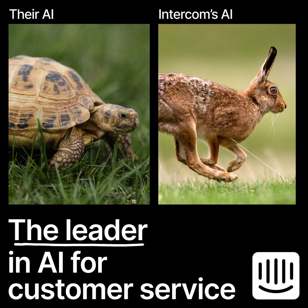 Zapyon gallery image