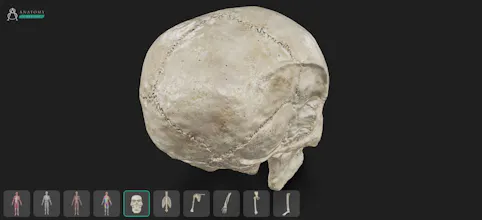 3D Anatomy Viewer 4 Artists gallery image