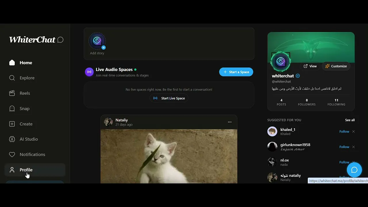 WhiterChat gallery image