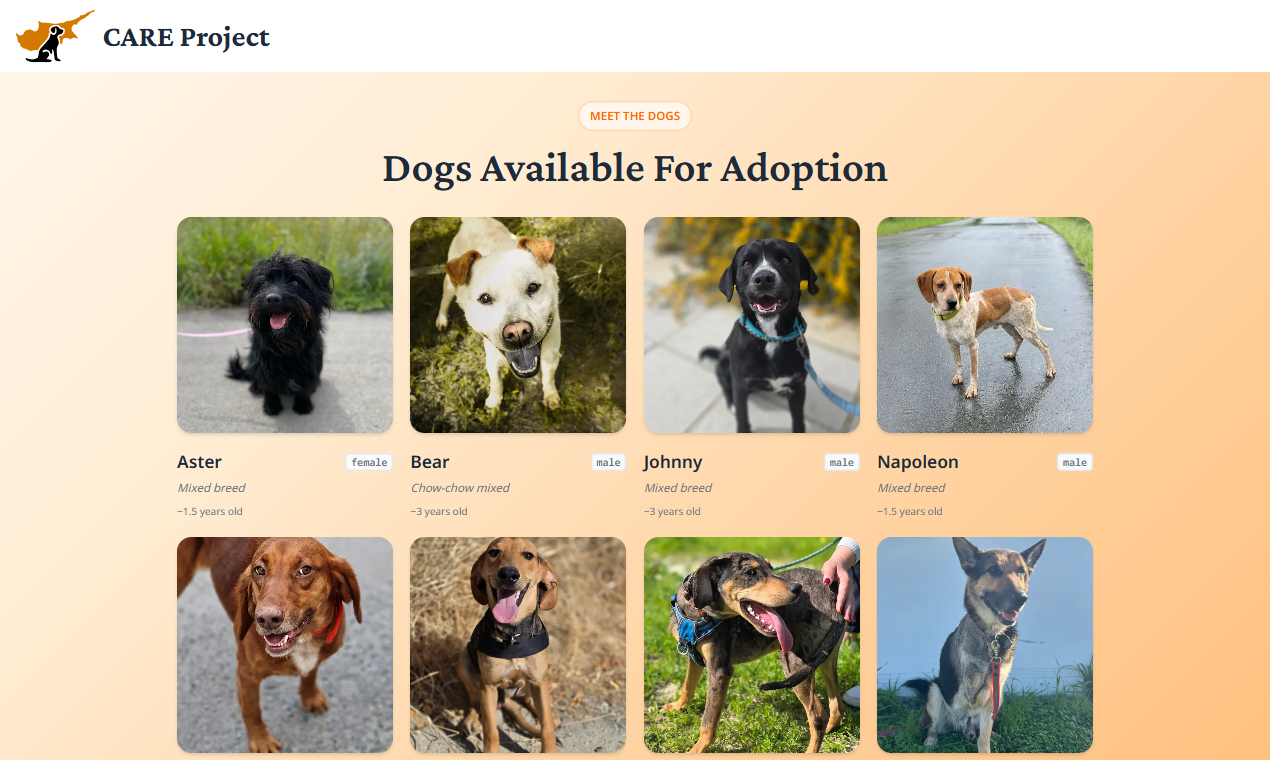 CARE Project gallery image