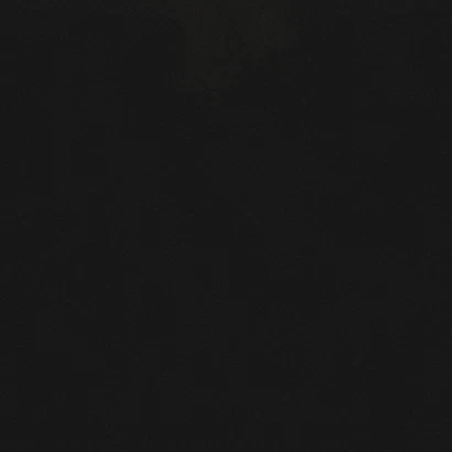 Fritz Image Segmentation