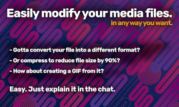 Videofyles gallery image