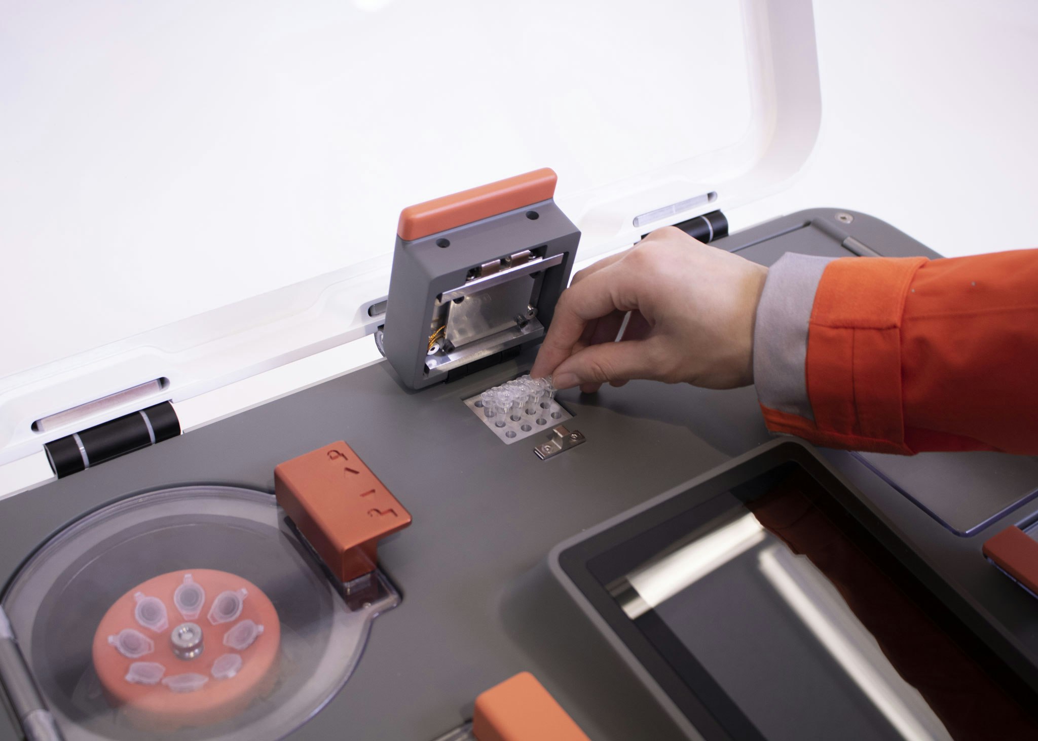 Feles One gallery image